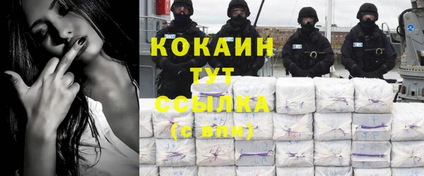 прущие грибы Семикаракорск