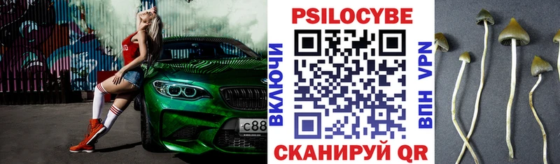 Галлюциногенные грибы Psilocybe  Ефремов 